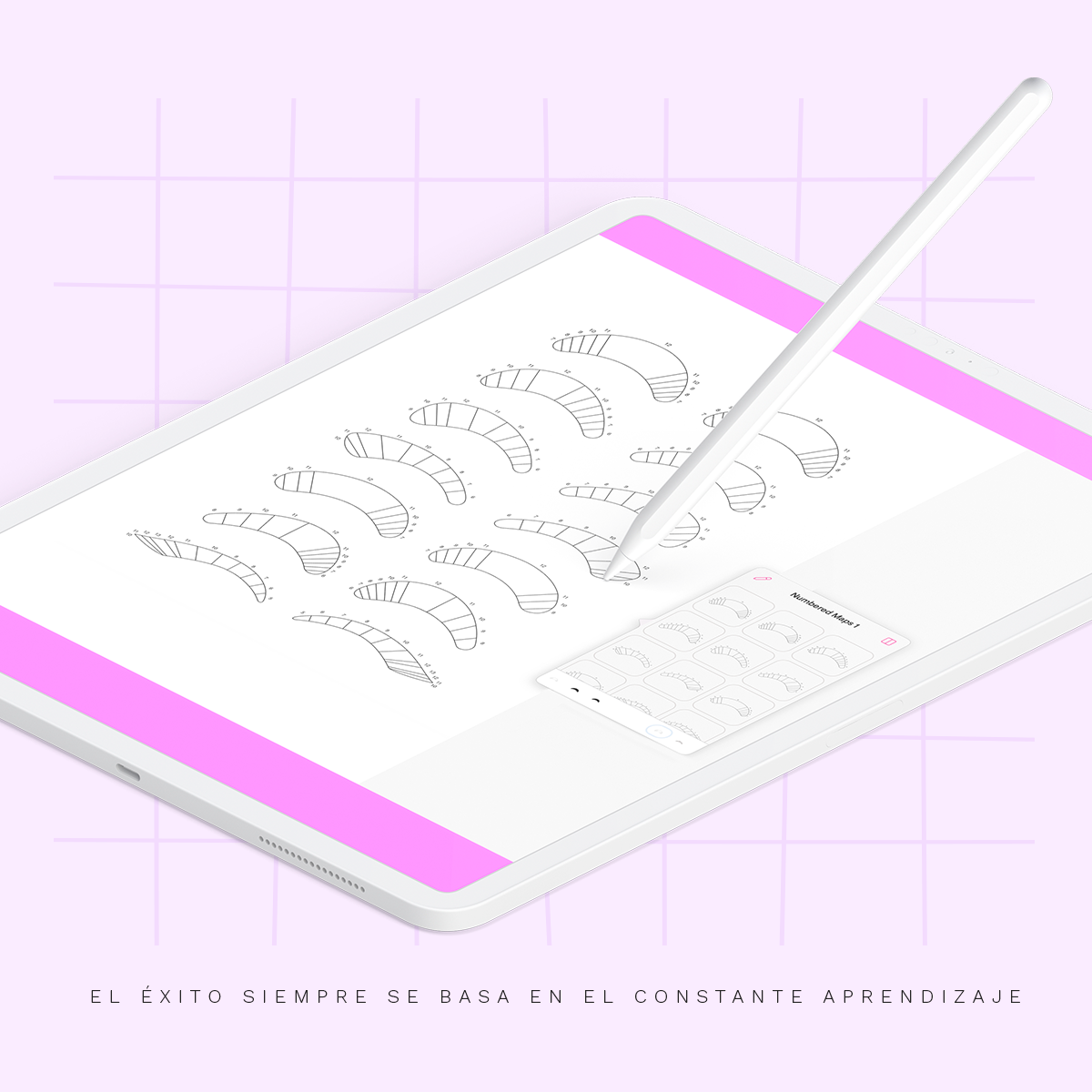 Plantillas Digitales (Lashes & Mapping)